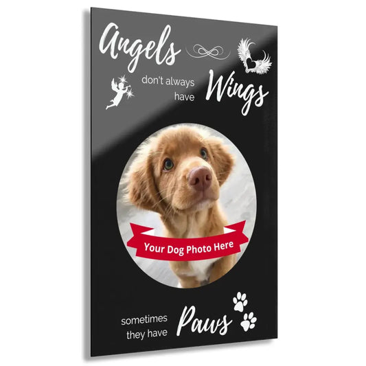 Acrylic Print in Art-Gallery-Quality - Angels don't always have wings sometimes they have paws